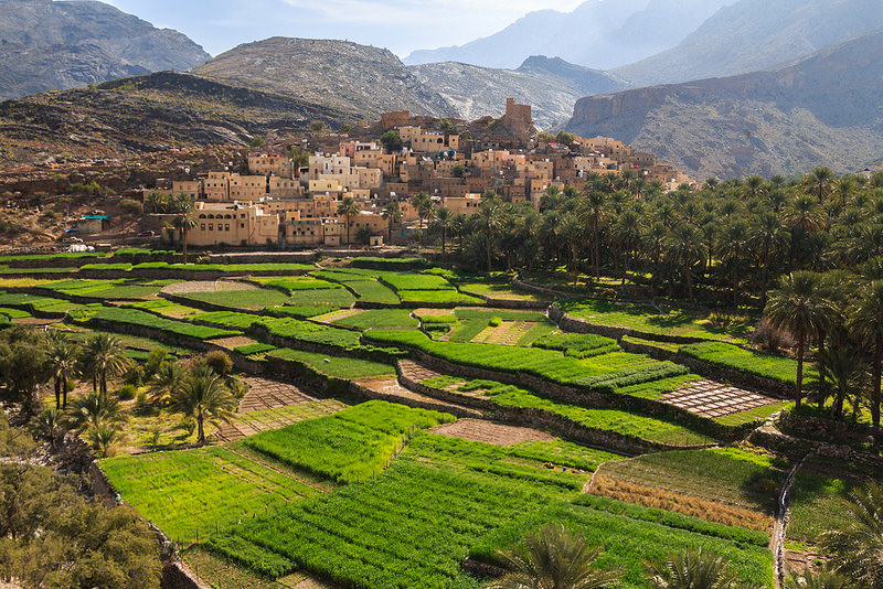 Circuit Oman – Oferta tur complet frumusetea si farmecul Omanului in 7 zile
