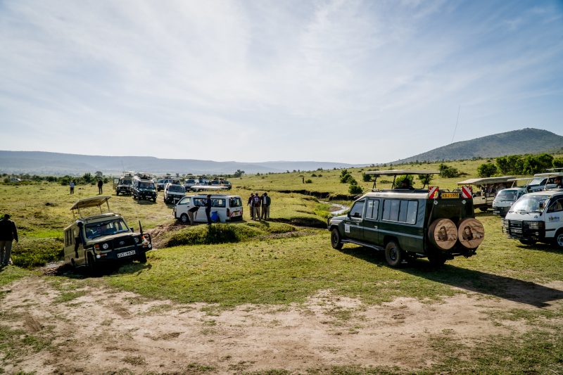 Amazing Tanzania Safari Experience si plaja in Zanzibar – 2023