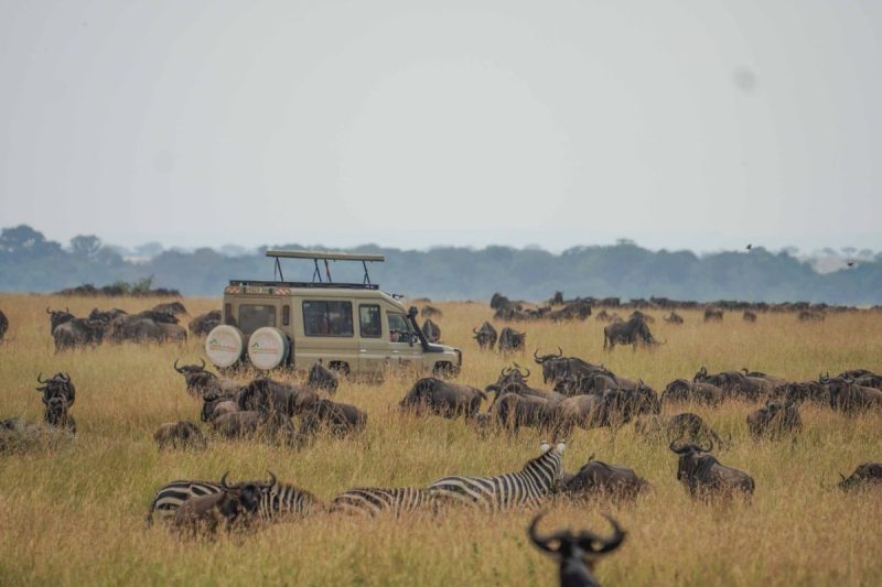 Family luxury safari experience in Tanzania + plaja in Zanzibar 2026