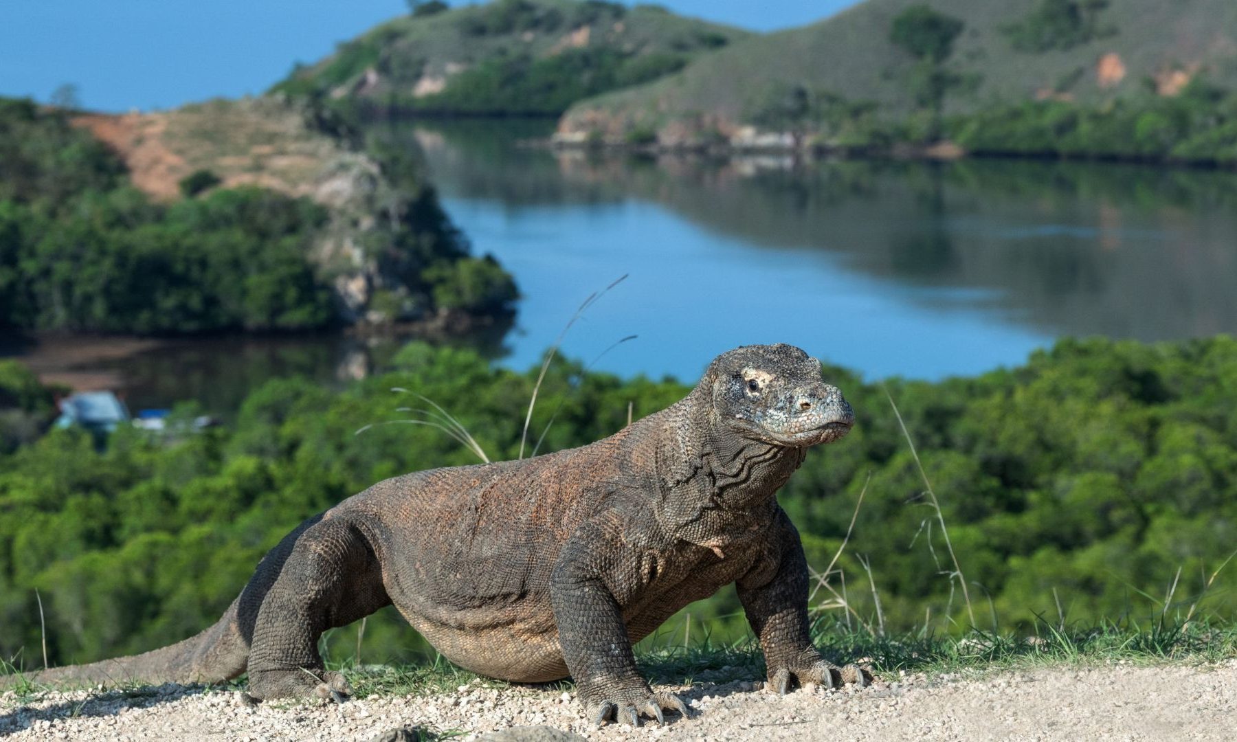 Little explorers in Indonezia: Calatorie activa premium pentru familii cu copii in Bali si Komodo