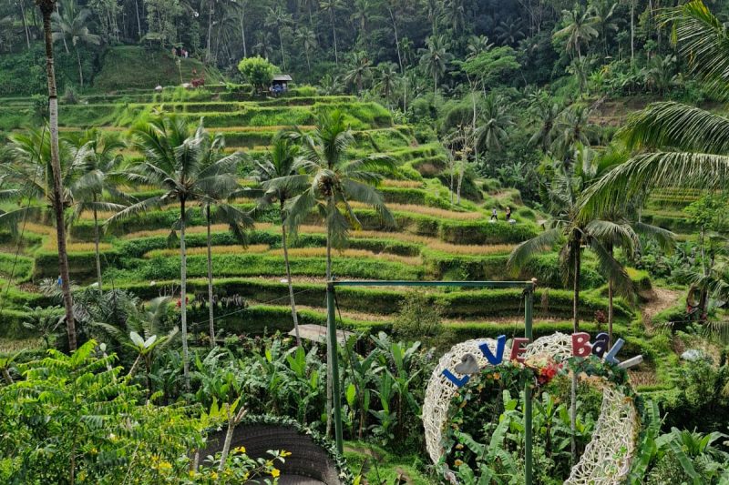 Testimonial vacanta in familie in Bali – Alexandra & Family – iunie 2025