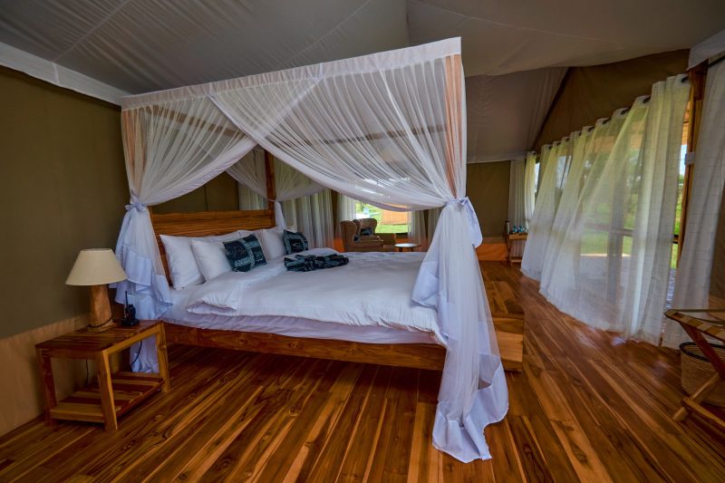 Land of Nature Camp 5*